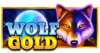 Wolf Gold Oyna 